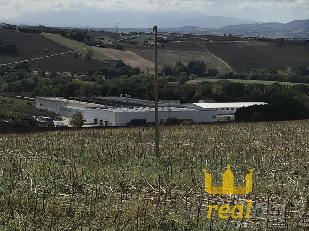 Capannone Industriale con aree edificabili e agricole a Santa Maria Nuova (AN)