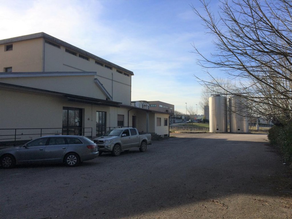 Complesso aziendale vitivinicolo a Spoleto (PG) - LOTTO 1