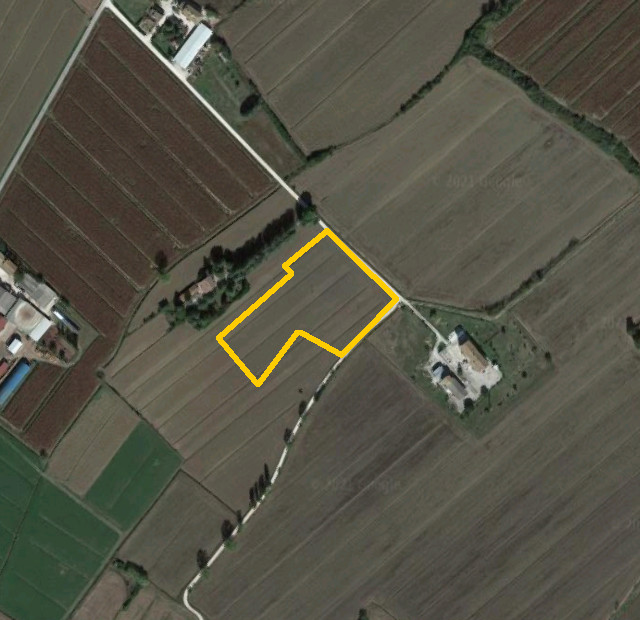 Terreni agricoli ad Assisi (PG) - LOTTO 2