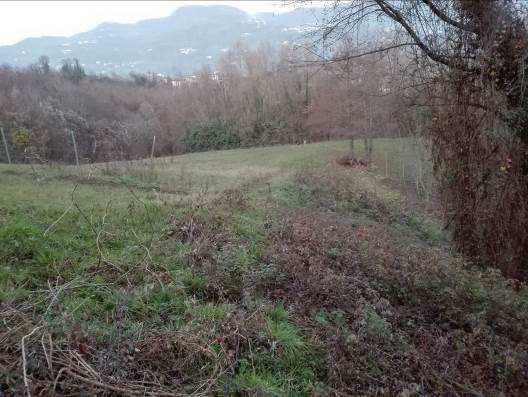 Terreni agricoli a Valdagno (VI) - Nuda Proprietà