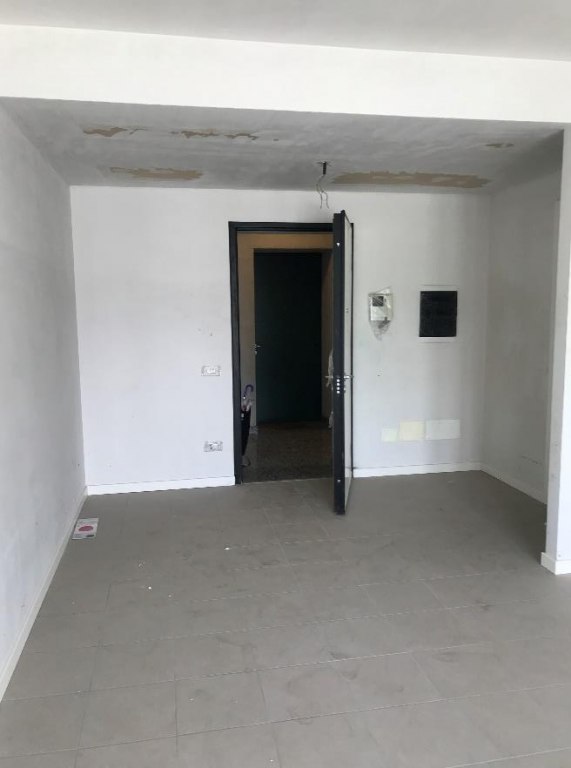 Appartamento con garage e solaio a Pioltello (MI) - LOTTO 93
