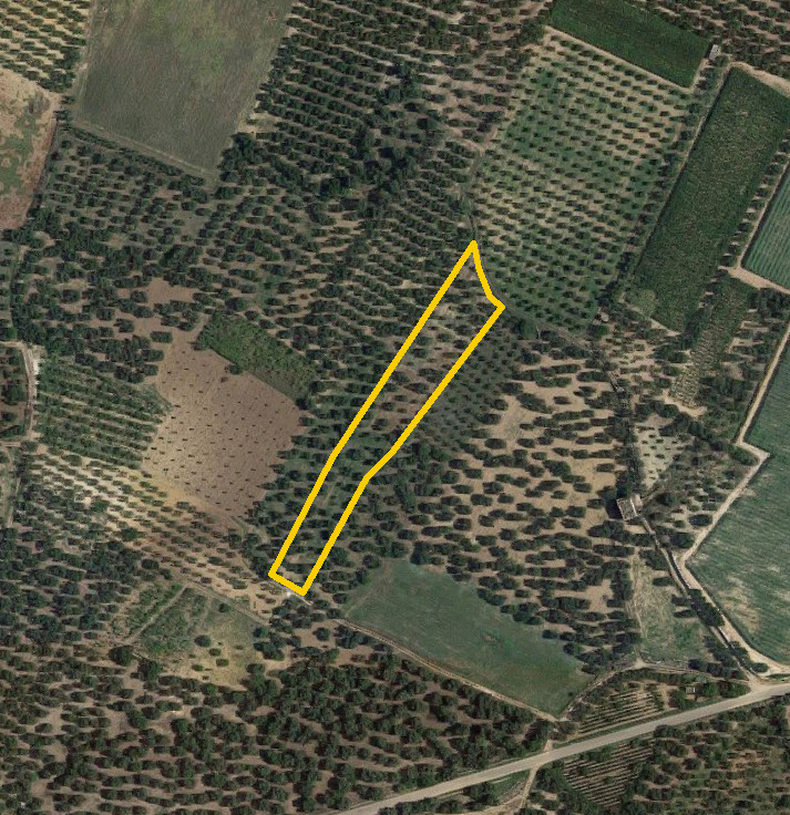 Terreno agricolo a Palo del Colle (BA) - LOTTO 3