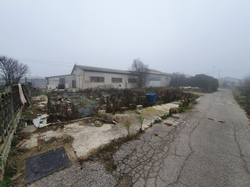 Magazzino e terreno agricolo a Isola della Scala (VR)