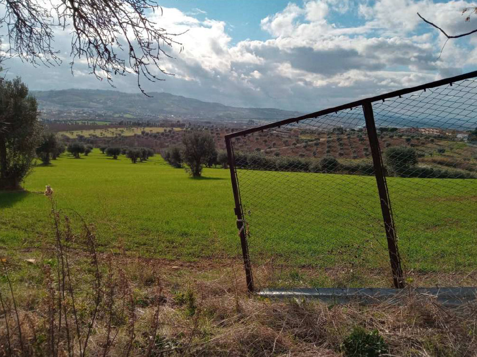 Terreni agricoli a Martinsicuro (TE) - LOTTO 4