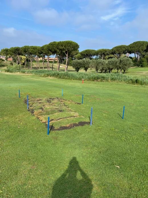 Lands used as golf course in Tarquinia (VT)