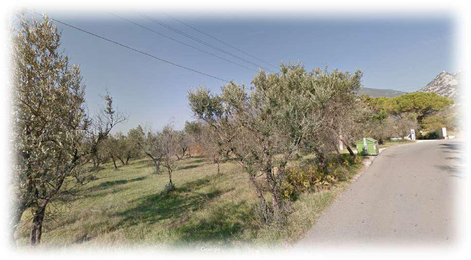 Agricultural land in Terni - LOT 32