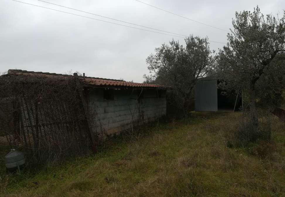 Casa indipendente con terreni agricoli a Terni - LOTTO 35
