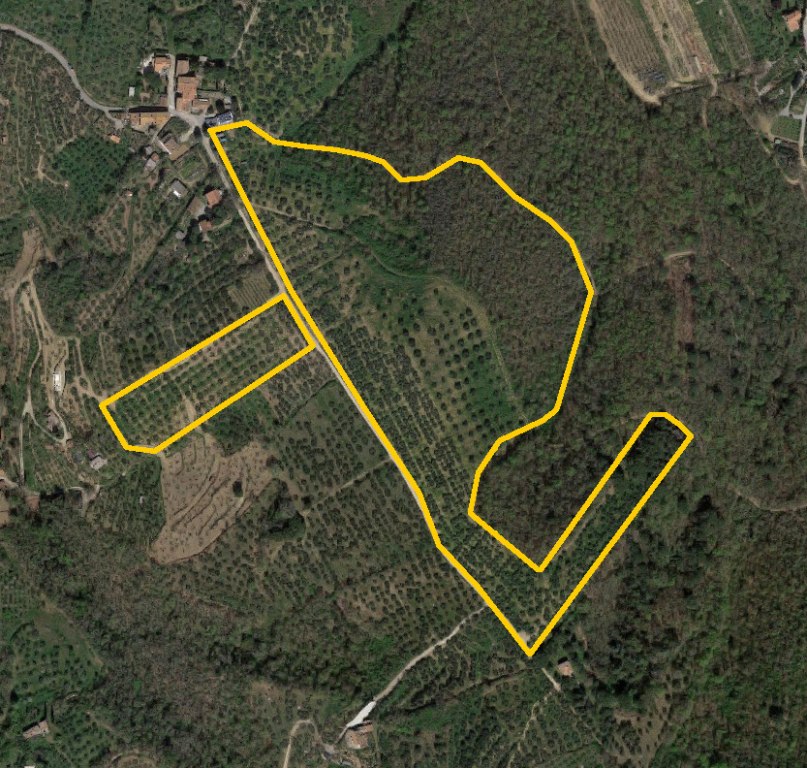 Terreni agricoli e due depositi a Paciano (PG) - LOTTO 4