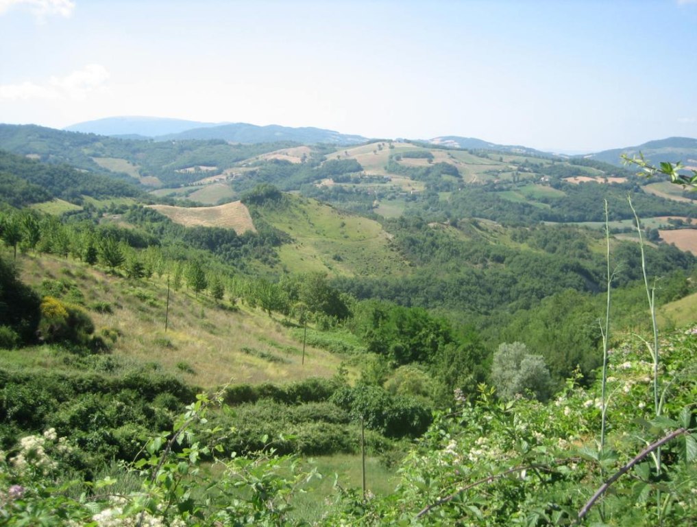 Fabbricati rurali con terreni agricoli a Valfabbrica (PG)