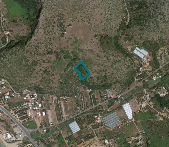Agricultural land in Gaeta (LT) - LOT 9